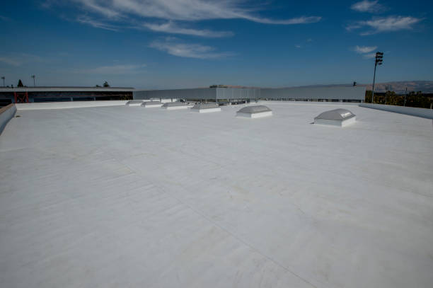 Best Chimney Flashing Repair  in Manistique, MI
