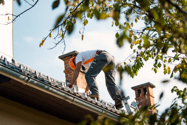 Best Asphalt Shingle Roofing  in Manistique, MI
