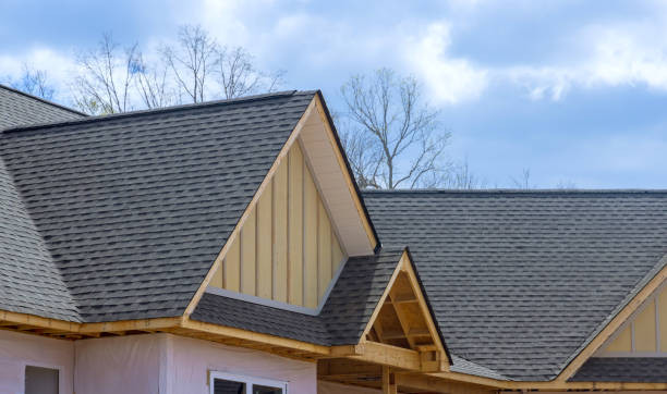 Best Asphalt Shingle Roofing  in Manistique, MI