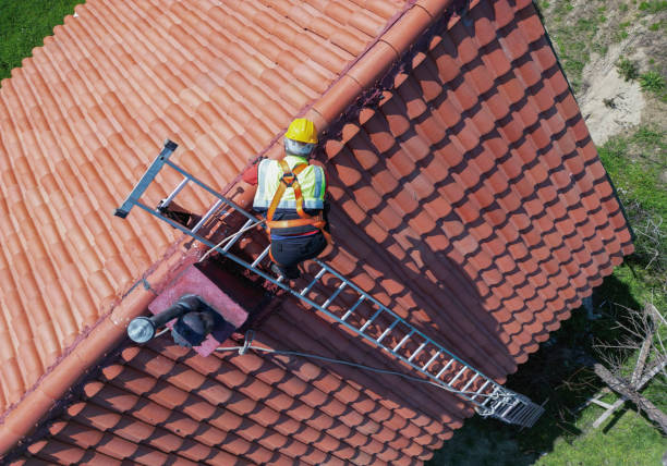 Best Metal Roofing Installation  in Manistique, MI