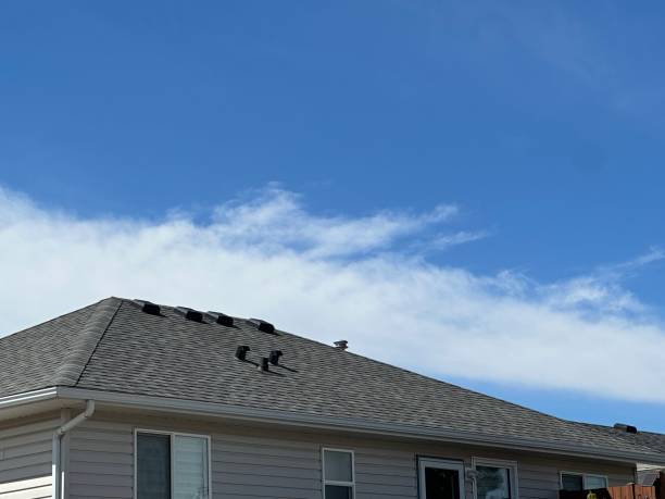 Best 4 Ply Roofing  in Manistique, MI