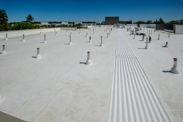 Best Hot Roofs  in Manistique, MI